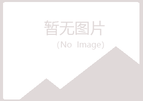 邯郸复兴夏岚采矿有限公司